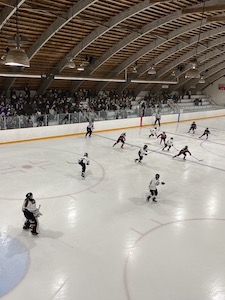 Arena