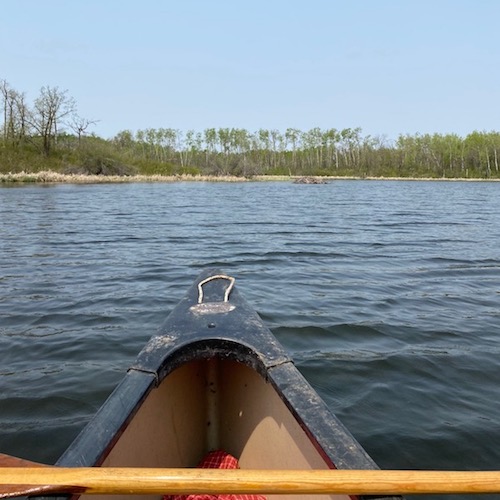 canoe