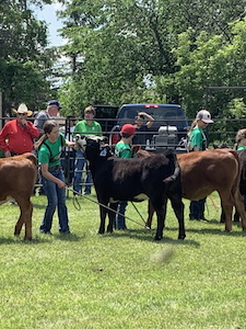 Boissevain Fair