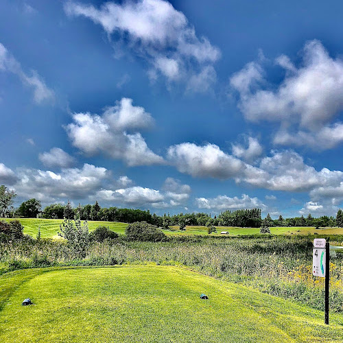 golfcourse2