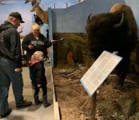 musuem_wildlife