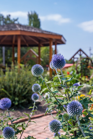 Arts Park