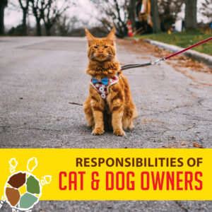 animalcontrol