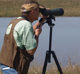birding
