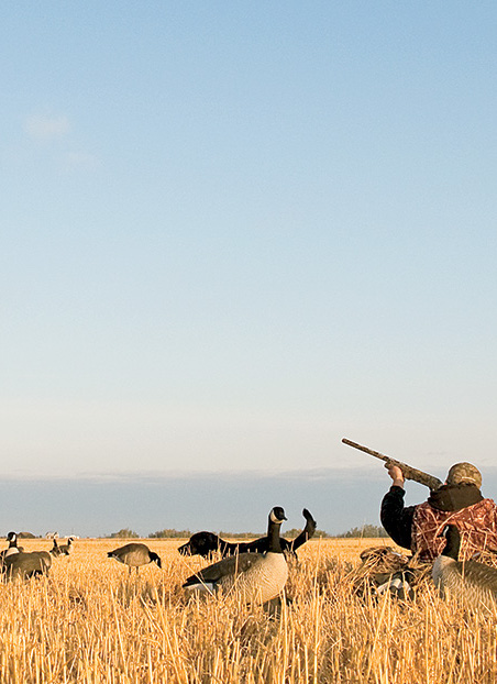 hunting